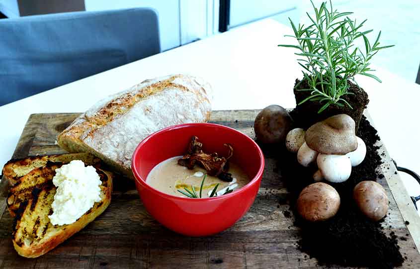 Organic Mushroom Soup