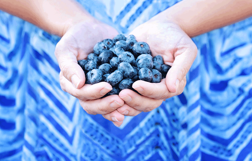 Super Superfood